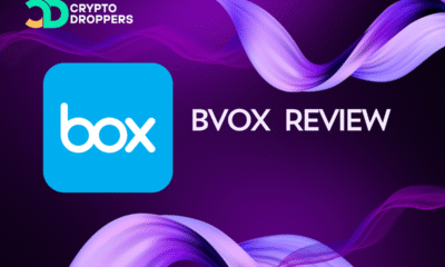 BVOX Review