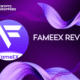 FameEX Review