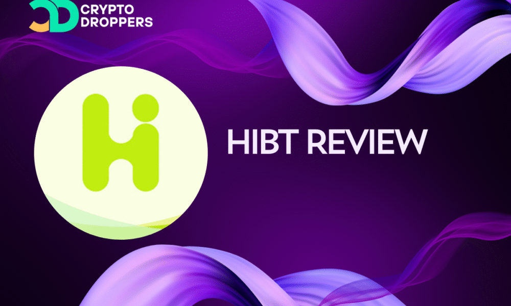 Hibt Review