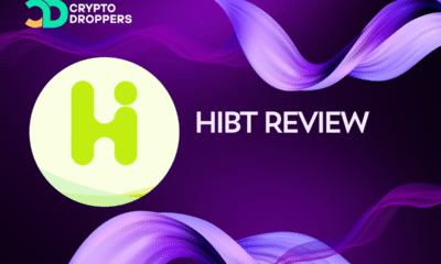 Hibt Review