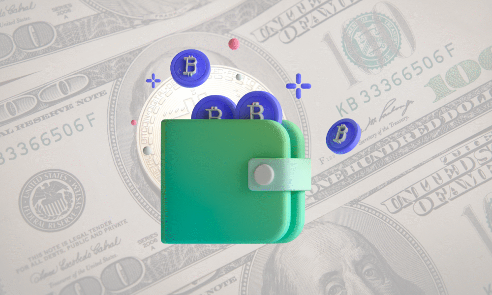 Sound Wallets Review