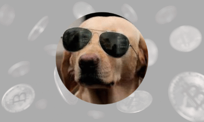 The Crypto Dog