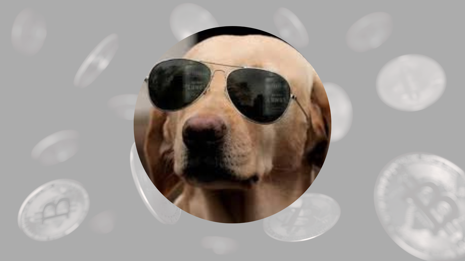 The Crypto Dog